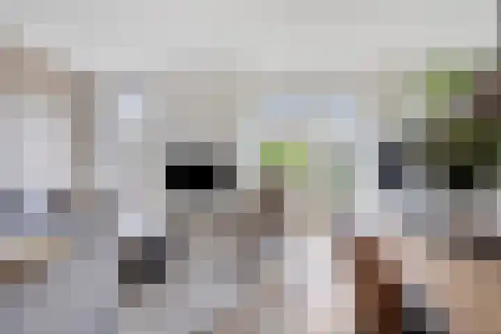 Joeswerd 157 Groningen thumbnail 15