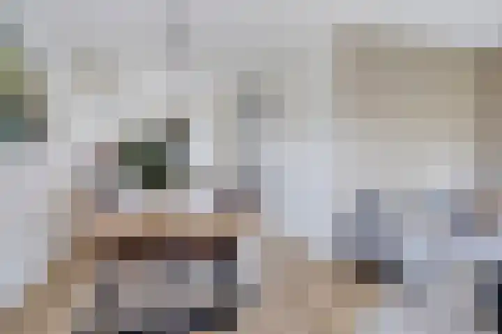 Joeswerd 157 Groningen thumbnail 19