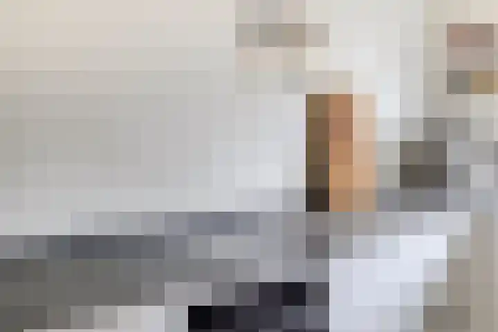 Joeswerd 157 Groningen thumbnail 21