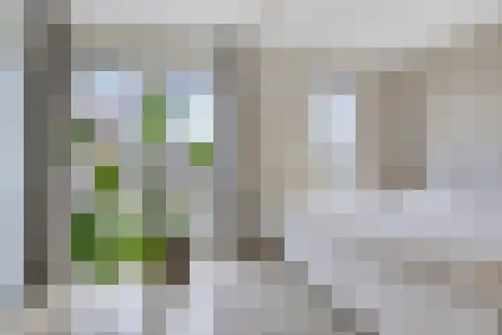 Joeswerd 157 Groningen thumbnail 27