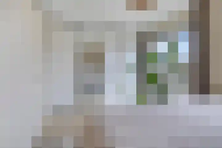 Joeswerd 157 Groningen thumbnail 29