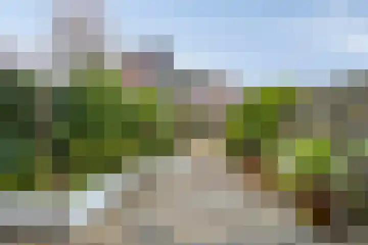 Joeswerd 157 Groningen thumbnail 37