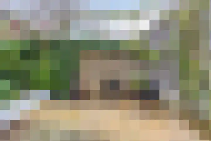 Joeswerd 157 Groningen thumbnail 38