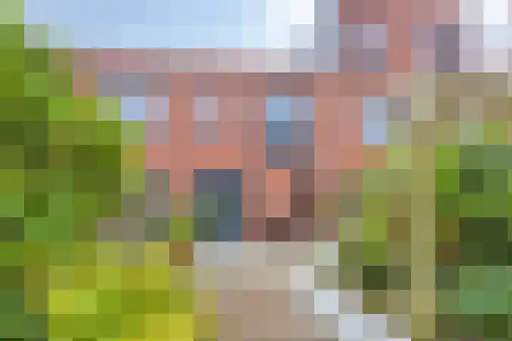 Joeswerd 157 Groningen thumbnail 39