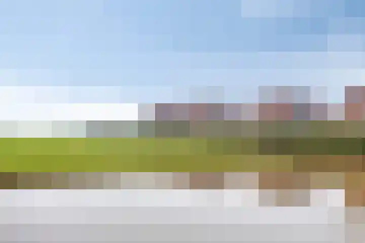 Joeswerd 157 Groningen thumbnail 43