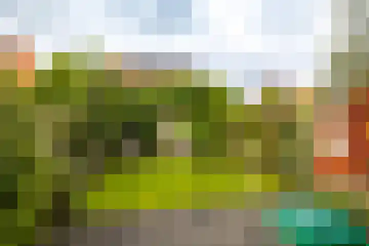Joeswerd 45 Groningen thumbnail 26