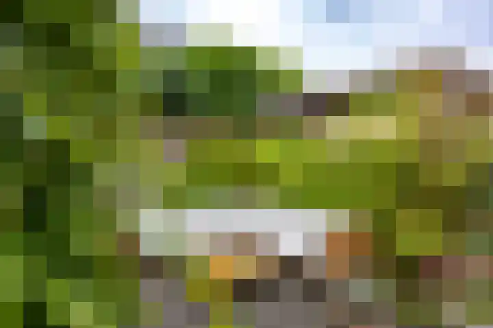 Joeswerd 45 Groningen thumbnail 28