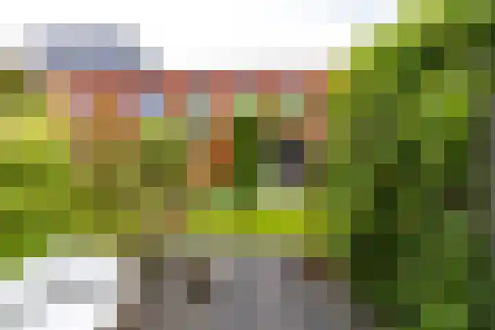 Joeswerd 45 Groningen thumbnail 29