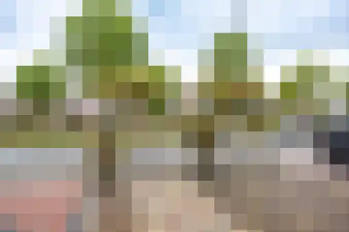 Joeswerd 45 Groningen thumbnail 32