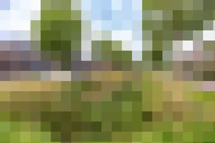Joeswerd 45 Groningen thumbnail 34