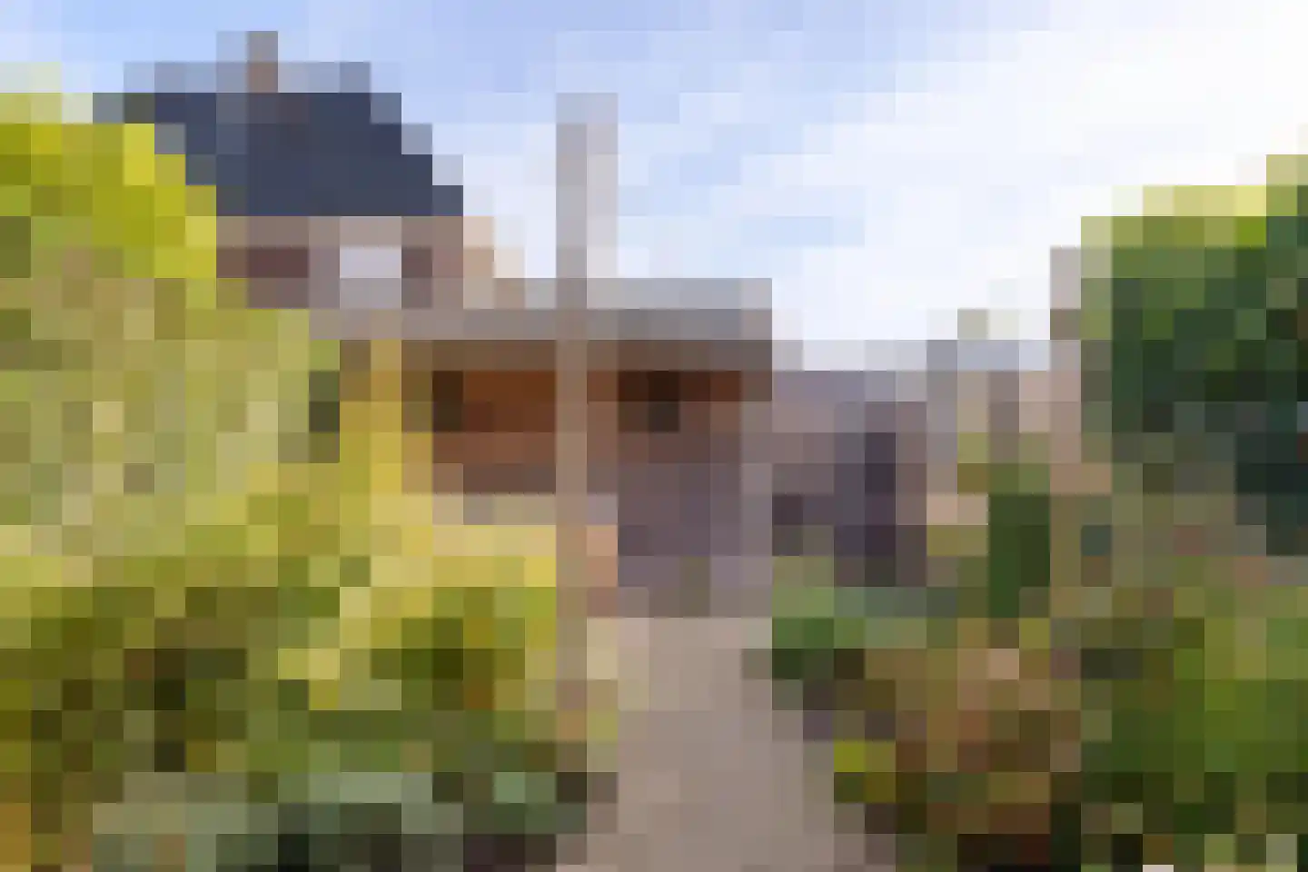 Joeswerd 81 Groningen thumbnail 20