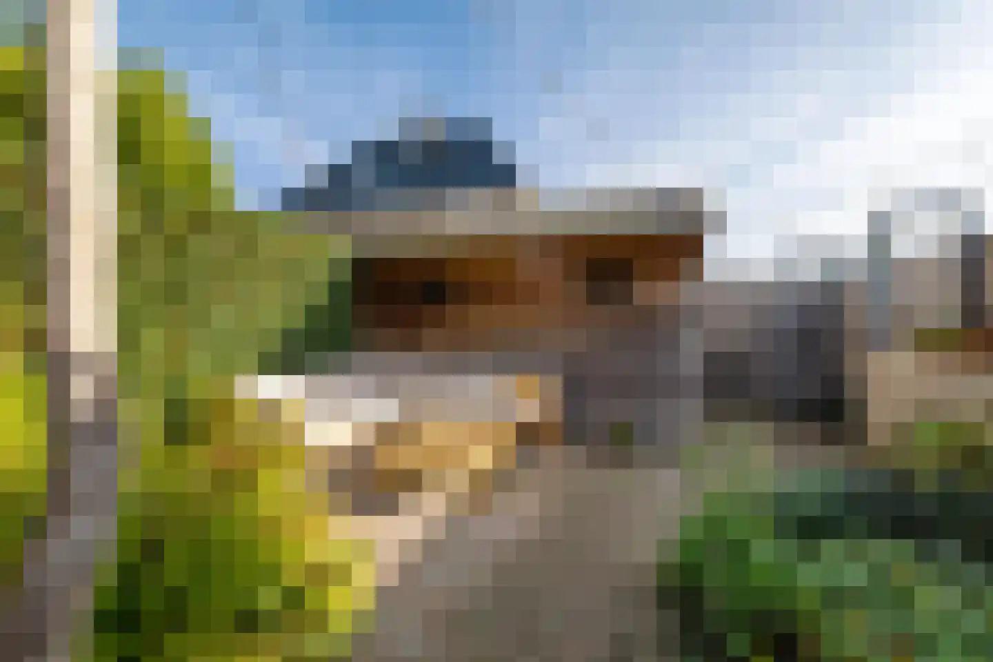 Joeswerd 81 Groningen thumbnail 21