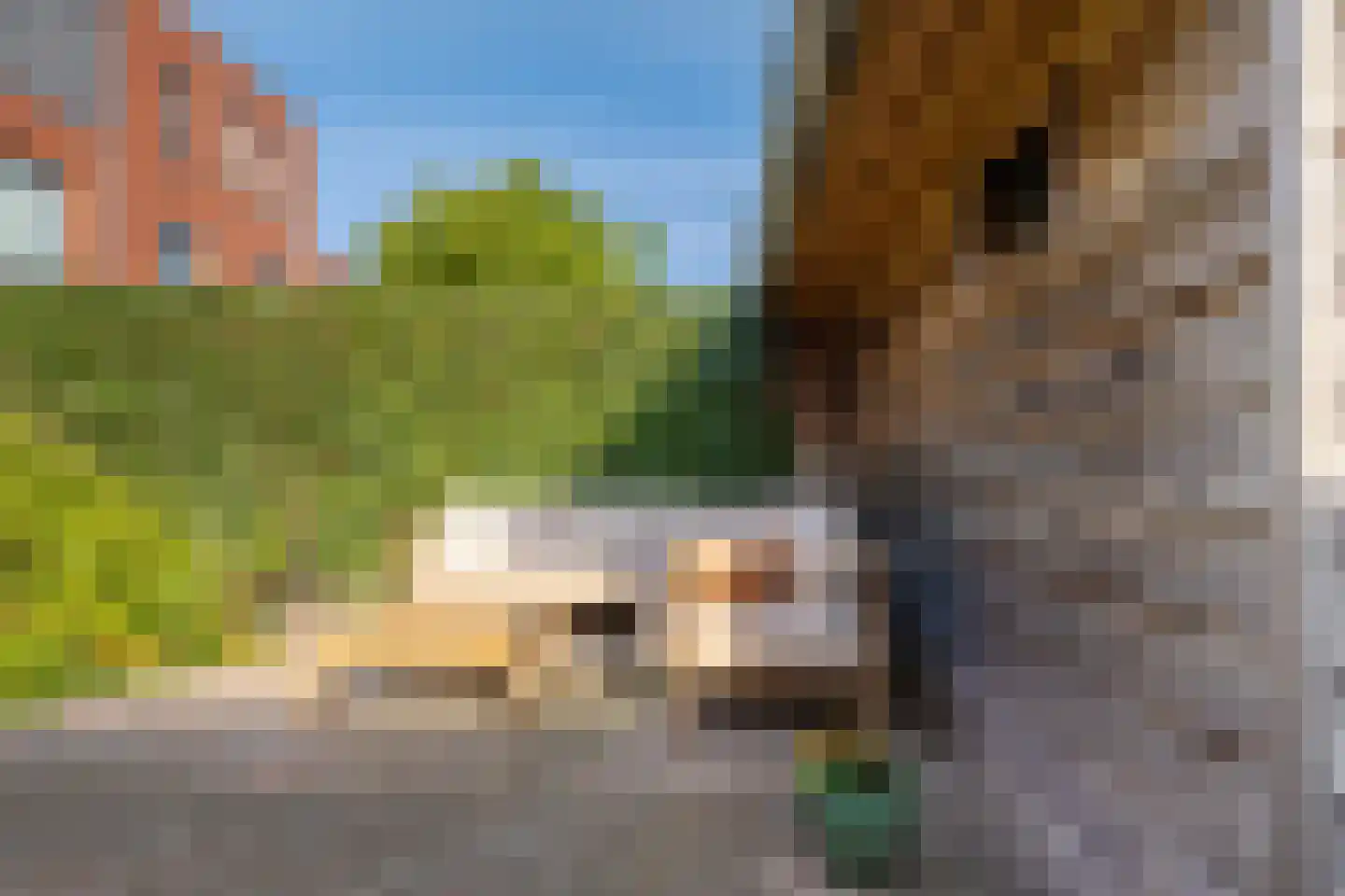 Joeswerd 81 Groningen thumbnail 22