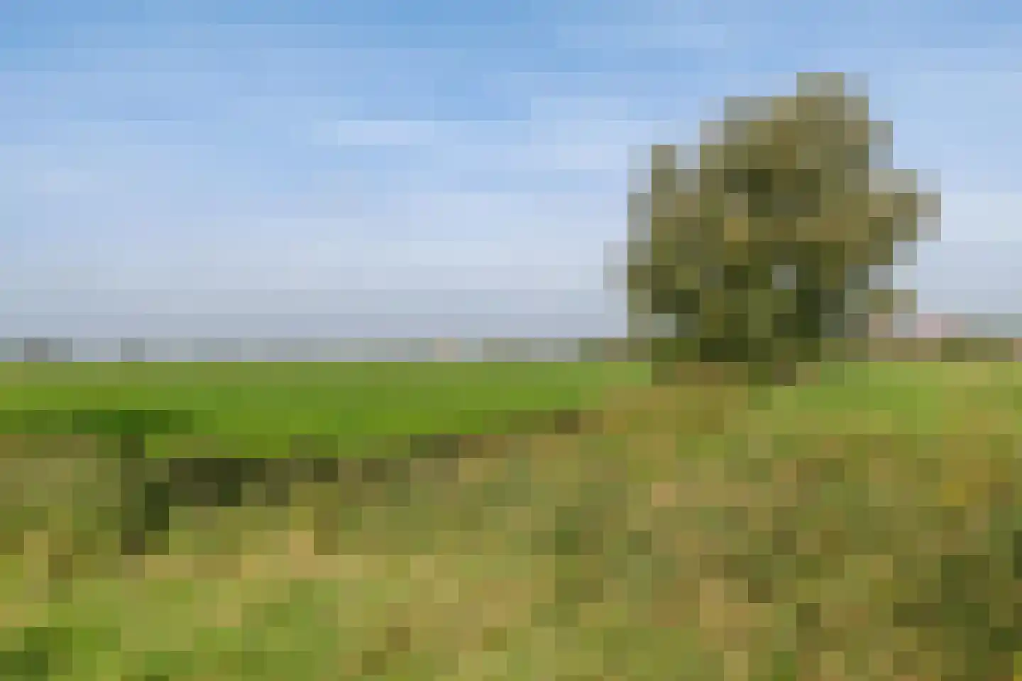 Joeswerd 81 Groningen thumbnail 47