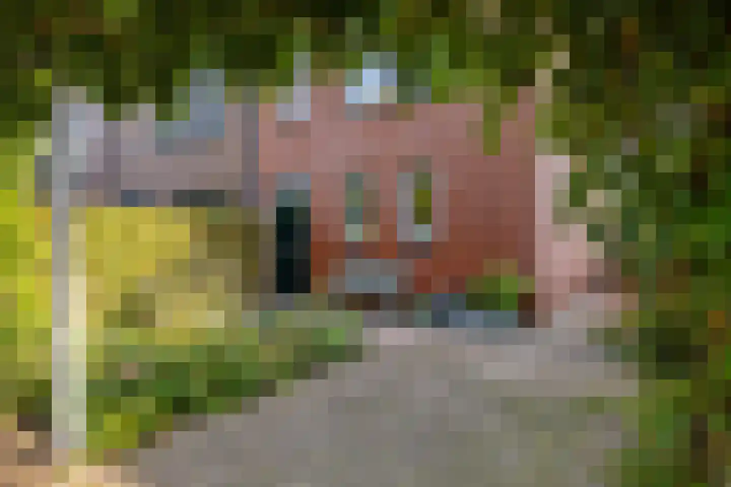 Joeswerd 81 Groningen thumbnail 6