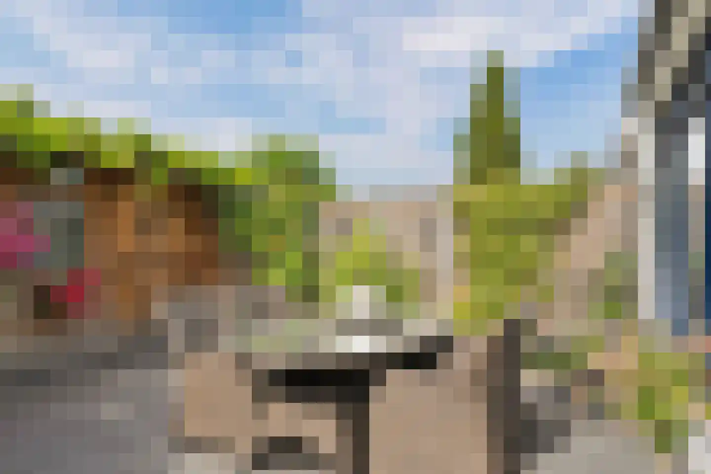 Jofferenlaan 31 Zwolle thumbnail 25