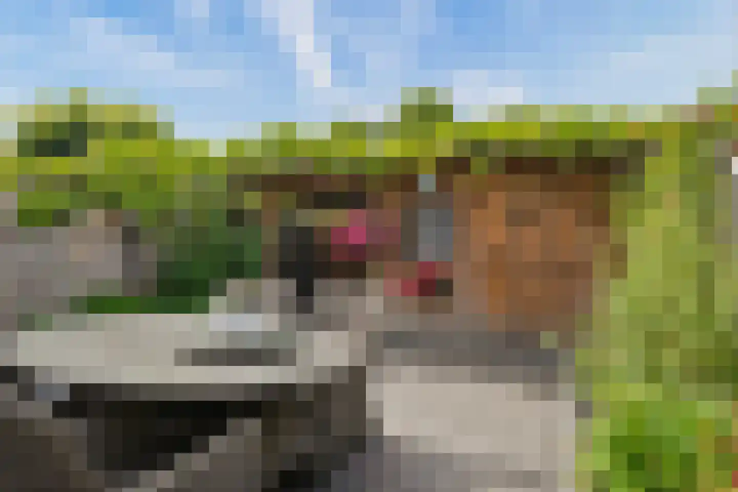 Jofferenlaan 31 Zwolle thumbnail 26