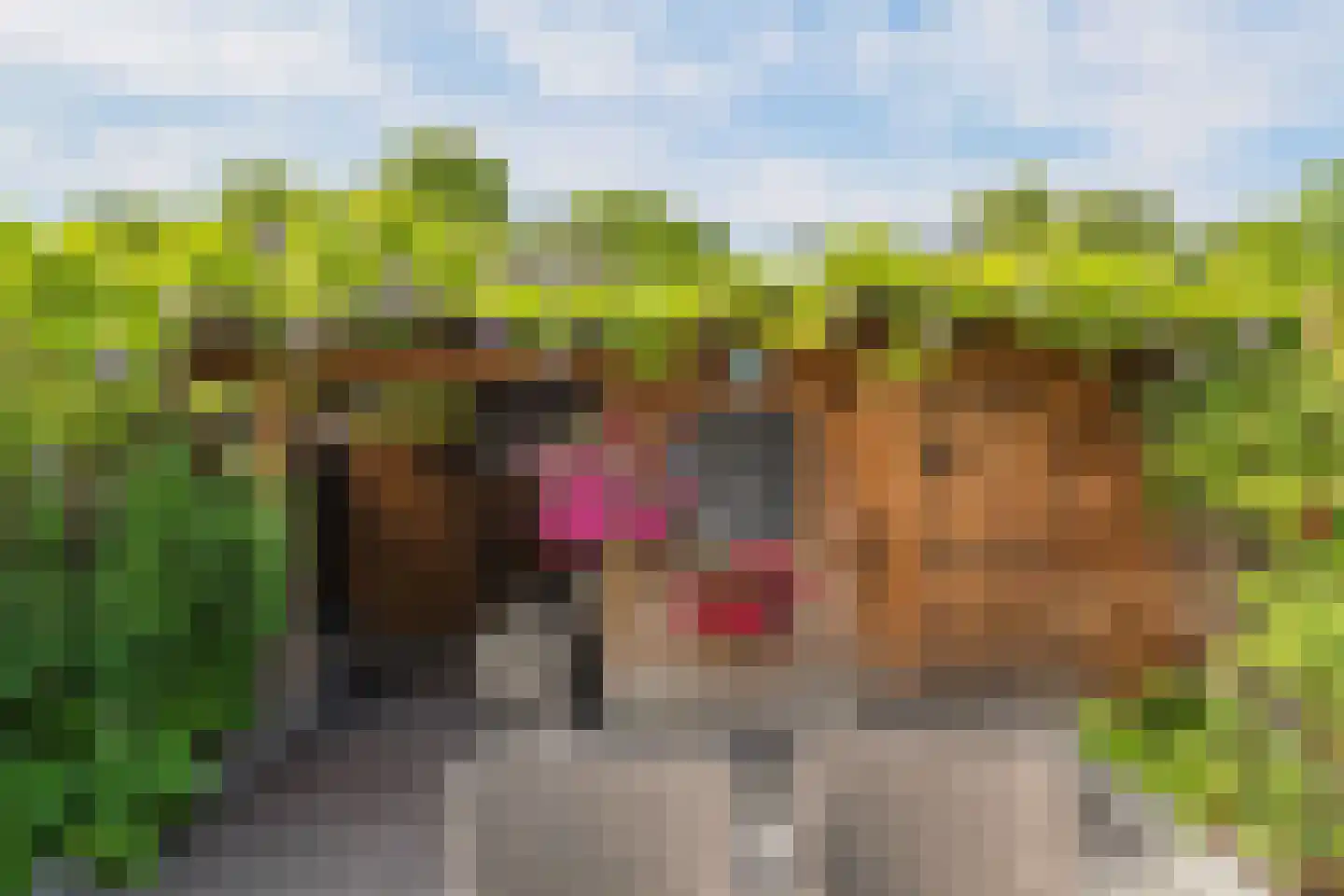 Jofferenlaan 31 Zwolle thumbnail 28