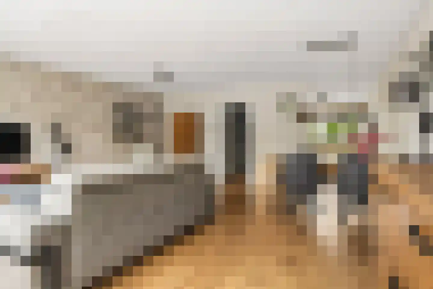 Jofferenlaan 31 Zwolle thumbnail 6