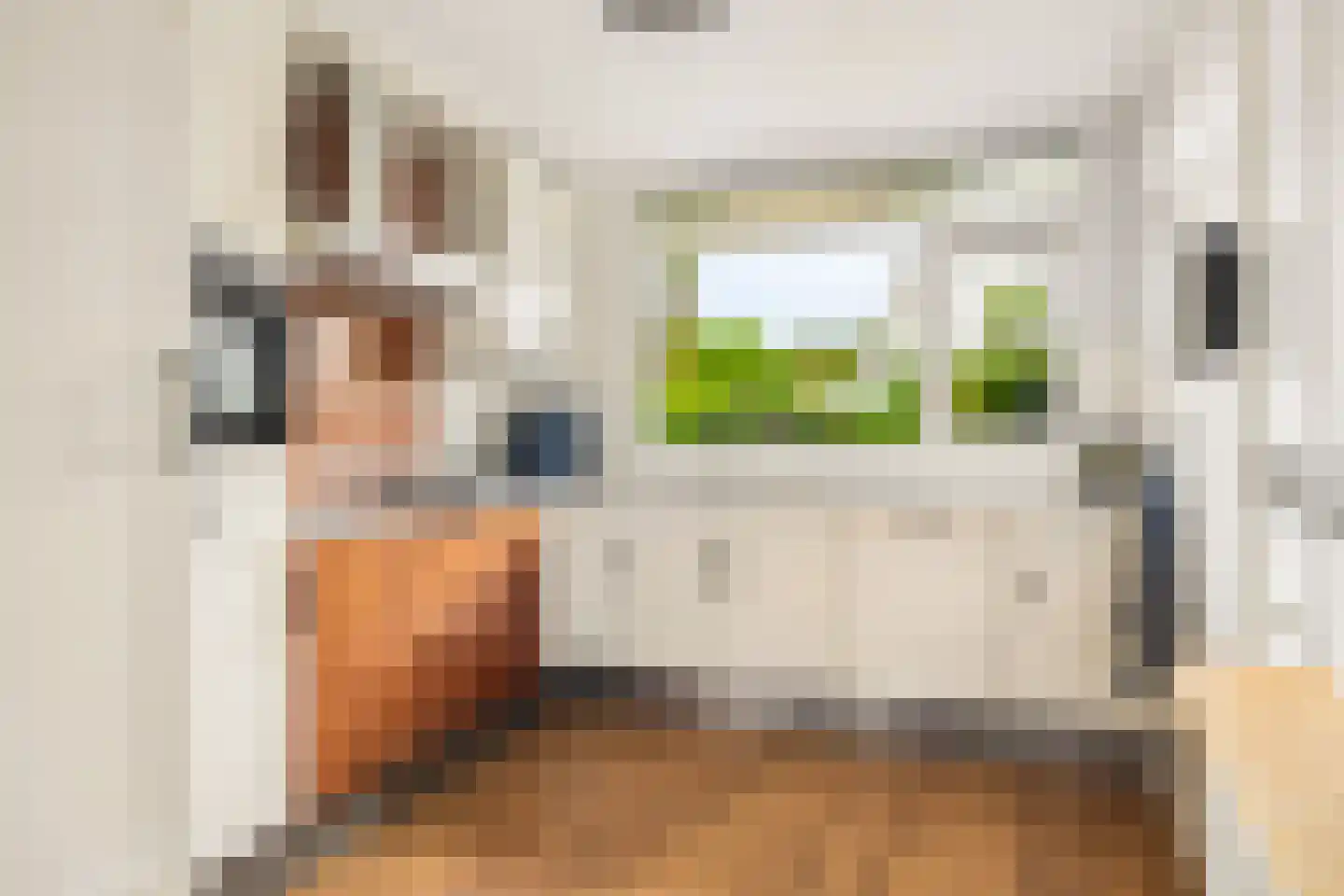 Jofferenlaan 31 Zwolle thumbnail 8