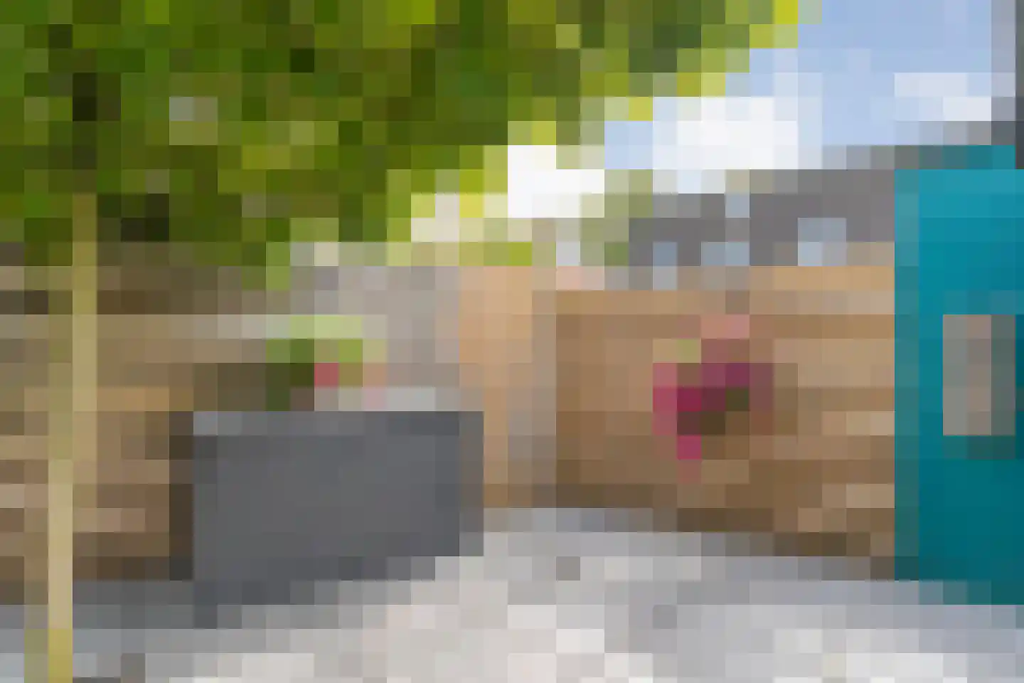 Jofferenlaan 37 Zwolle thumbnail 35
