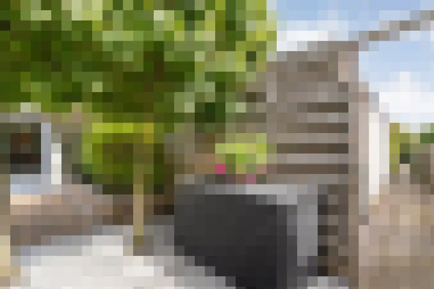 Jofferenlaan 37 Zwolle thumbnail 38
