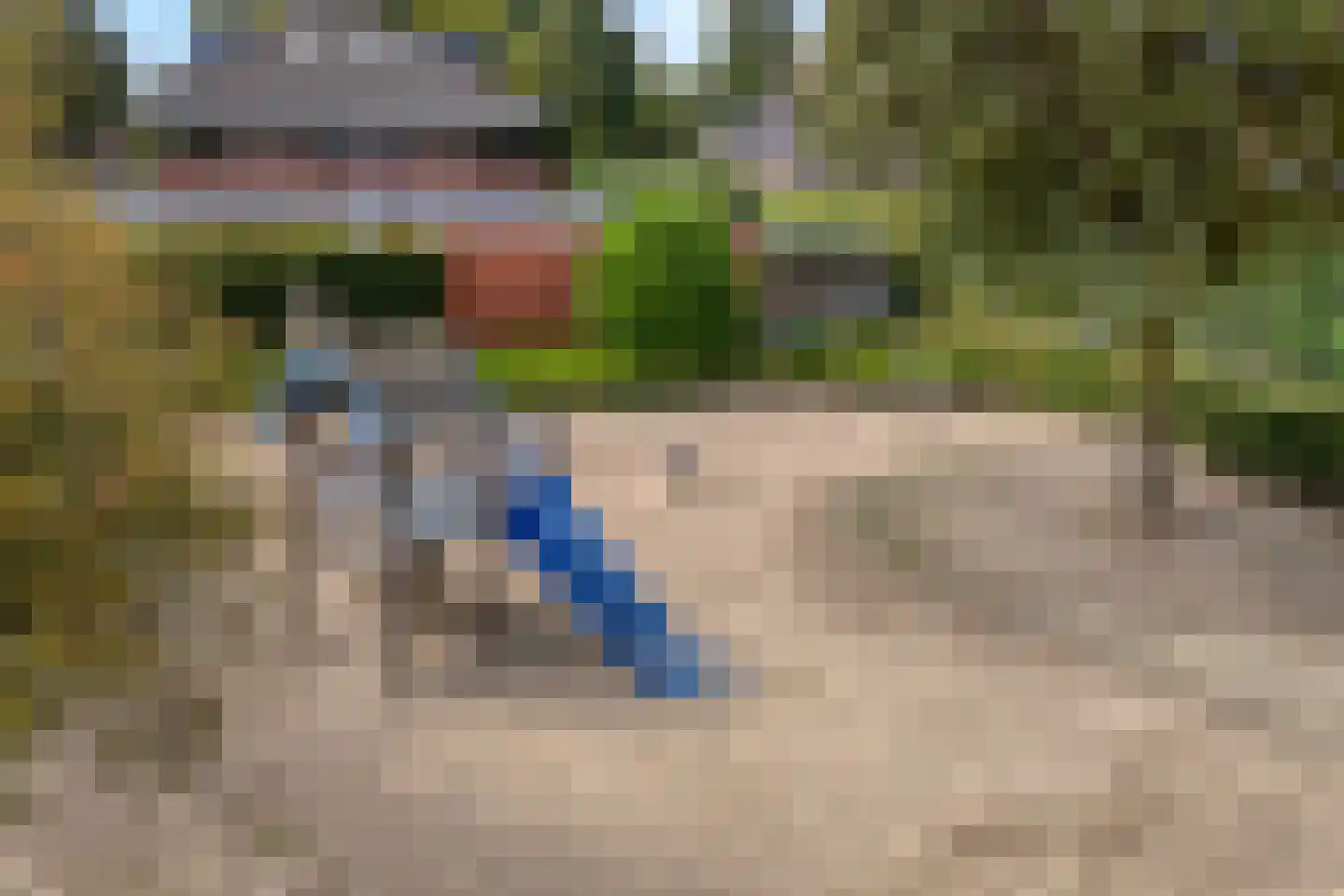 Jofferenlaan 37 Zwolle thumbnail 40