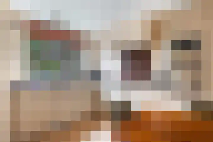Jofferenpad 12 Amersfoort thumbnail 18