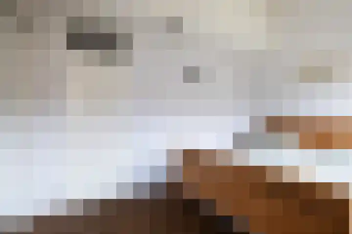 Jofferenpad 12 Amersfoort thumbnail 30