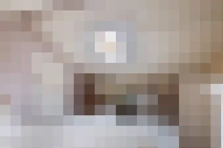 Jofferenpad 12 Amersfoort thumbnail 39