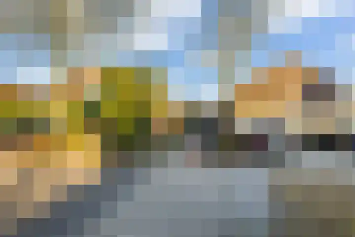 Jofferenpad 12 Amersfoort thumbnail 48