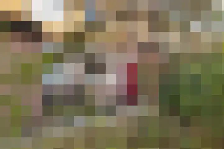 Jofferenpad 12 Amersfoort thumbnail 49