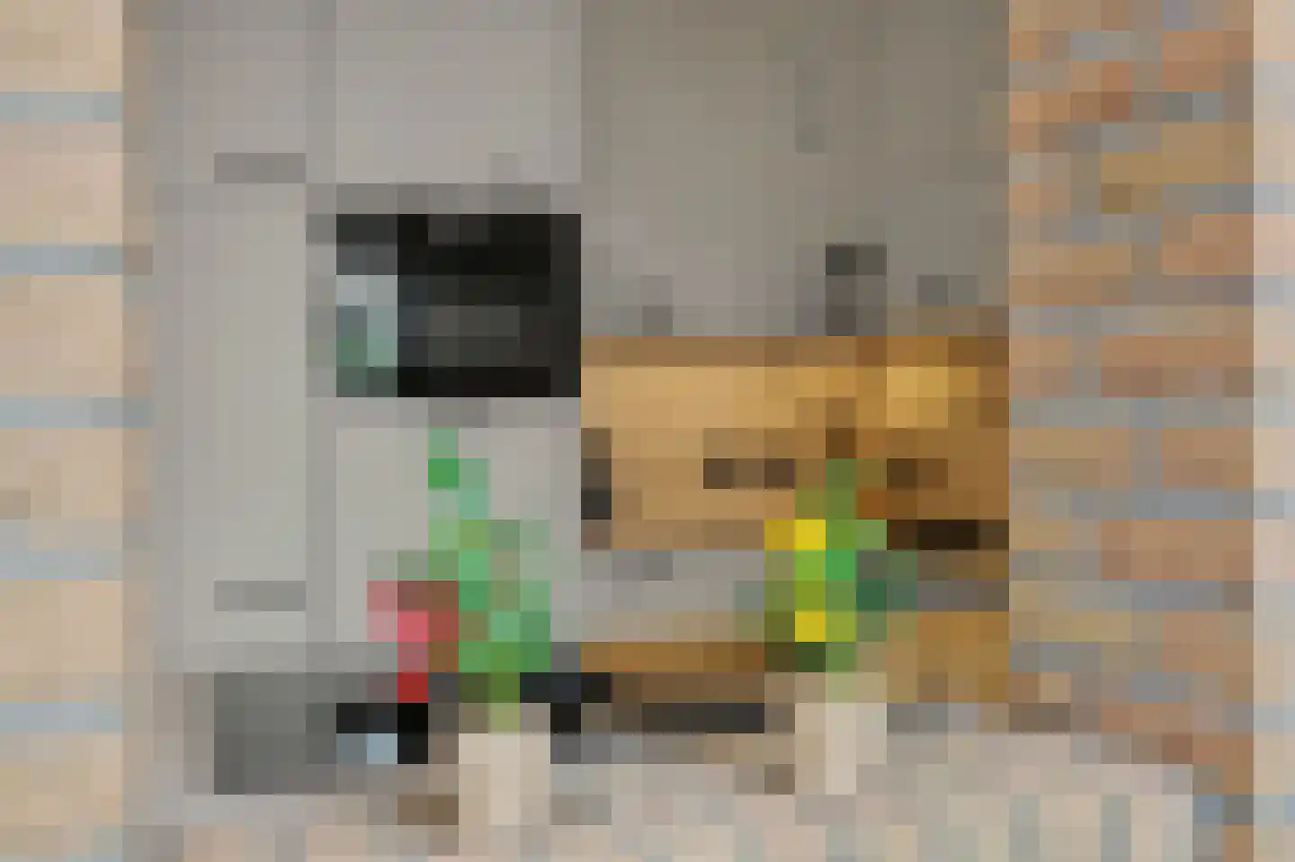 Jofferspas 15 Oostrum thumbnail 10