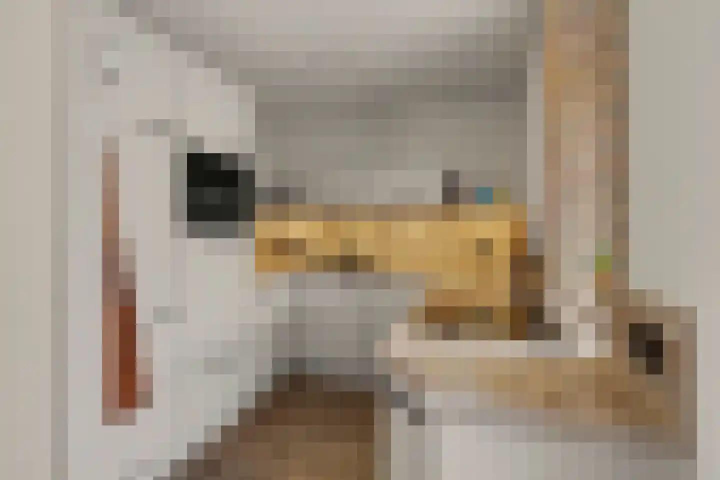 Jofferspas 15 Oostrum thumbnail 11