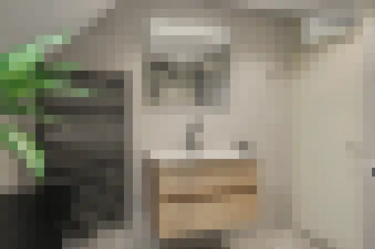 Jofferspas 15 Oostrum thumbnail 22