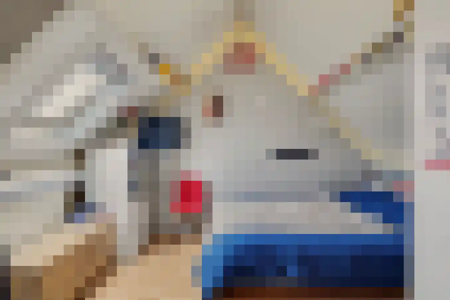 Jofferspas 15 Oostrum thumbnail 24