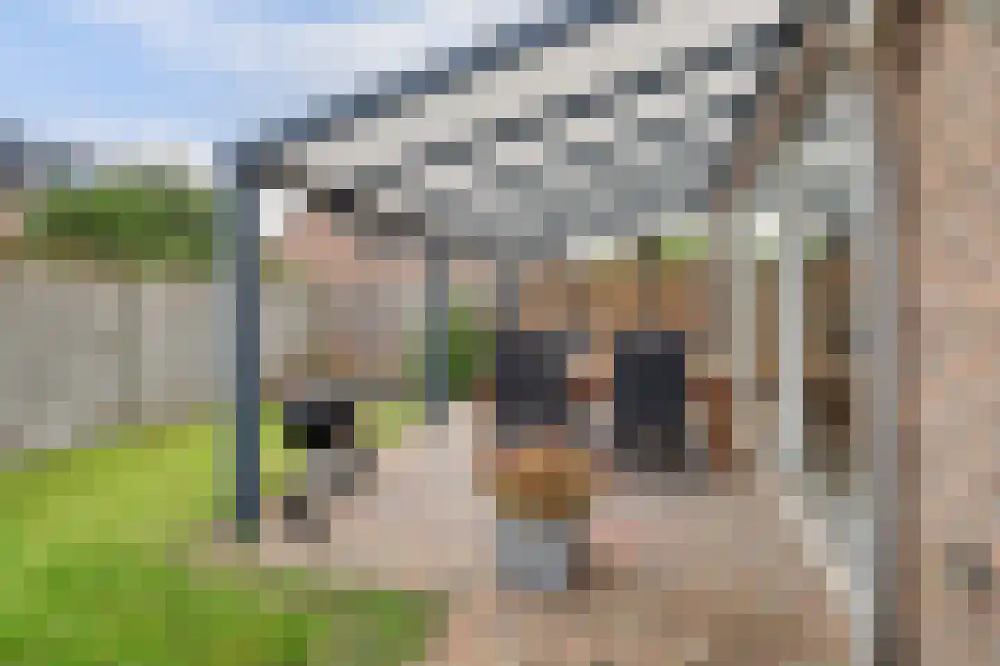 Jofferspas 15 Oostrum thumbnail 26