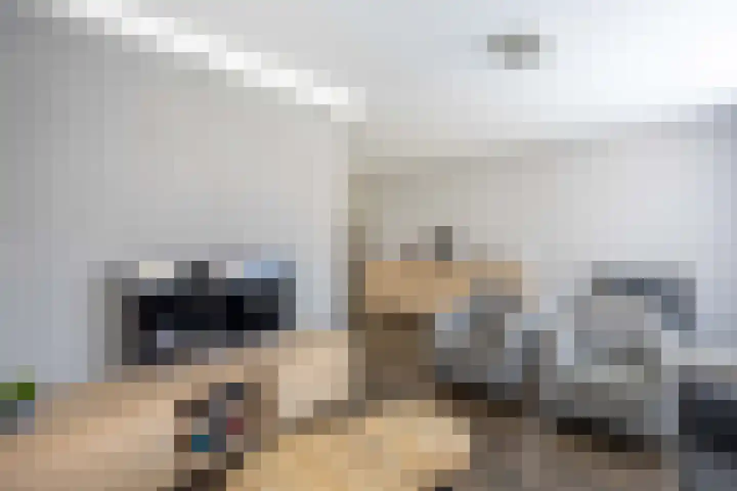 Jofferspas 7 Oostrum thumbnail 10