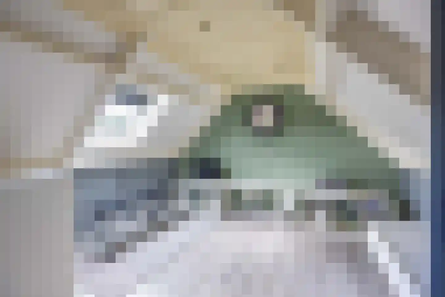 Jofferspas 7 Oostrum thumbnail 29