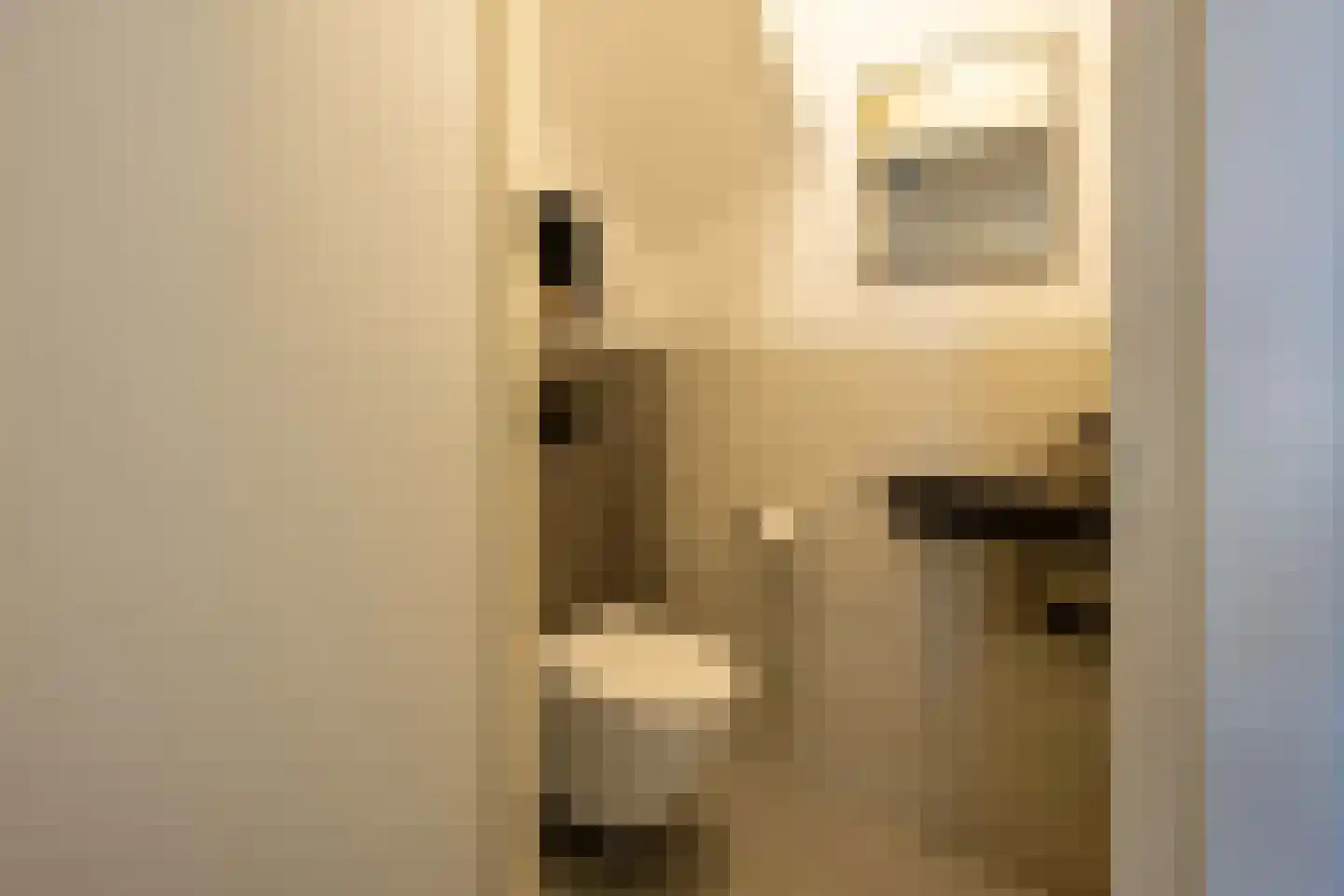 Jofferspas 7 Oostrum thumbnail 7