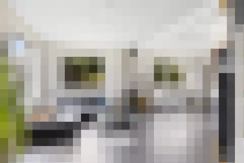 Jogchem Alberdaweg 5 Jubbega thumbnail 10