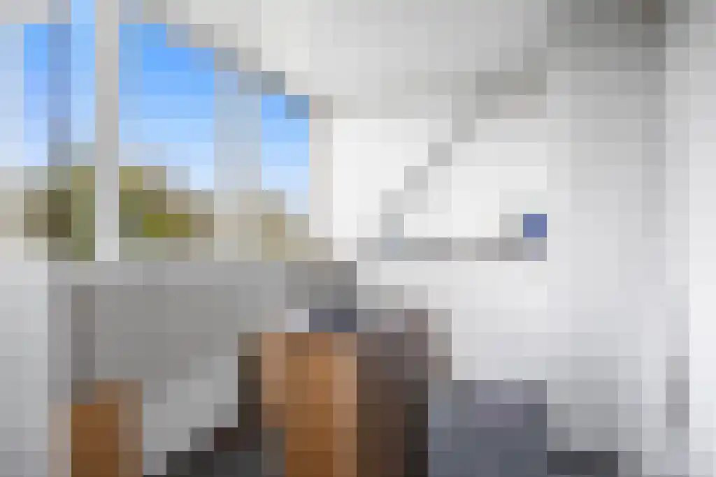 Jogchem Alberdaweg 5 Jubbega thumbnail 24