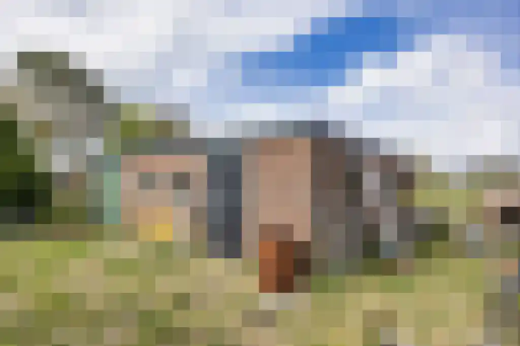 Jogchem Alberdaweg 5 Jubbega thumbnail 28