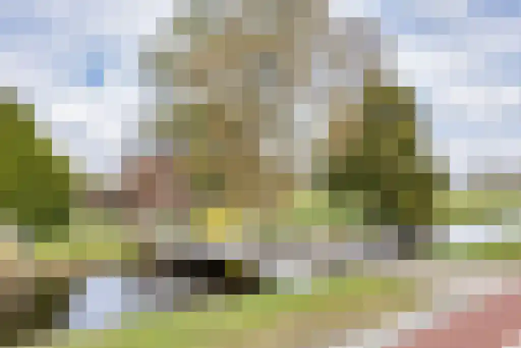 Jogchem Alberdaweg 5 Jubbega thumbnail 34