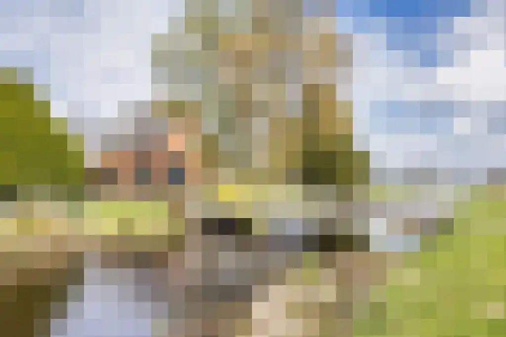 Jogchem Alberdaweg 5 Jubbega thumbnail 35
