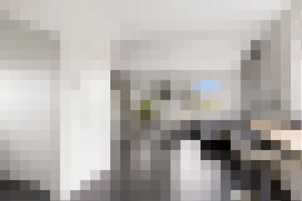 Jogchem Alberdaweg 5 Jubbega thumbnail 8