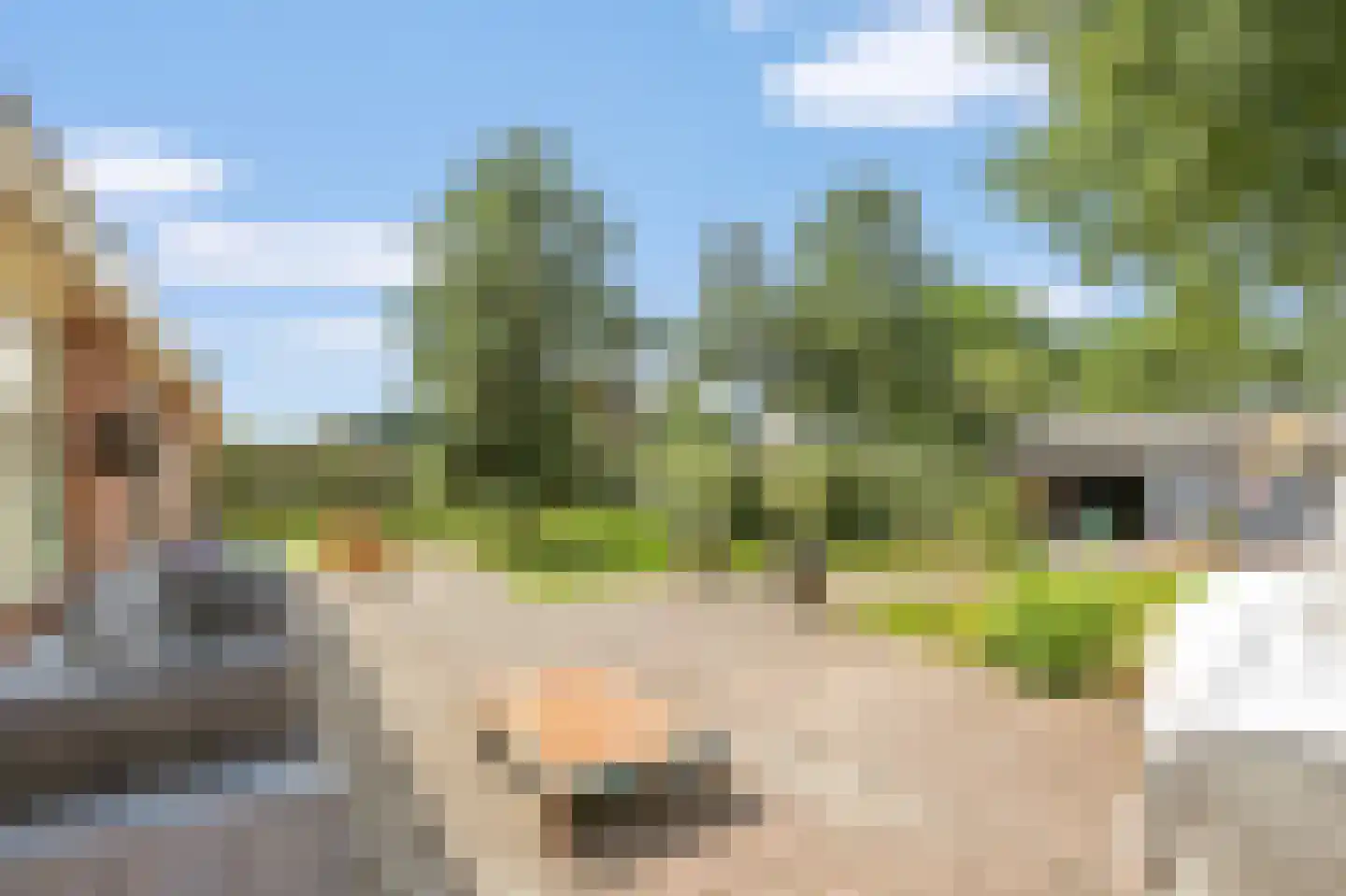 Jogchem Alberdaweg 9 Jubbega thumbnail 30