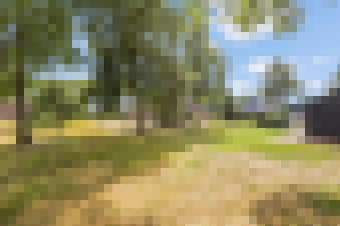 Jogchem Alberdaweg 9 Jubbega thumbnail 34