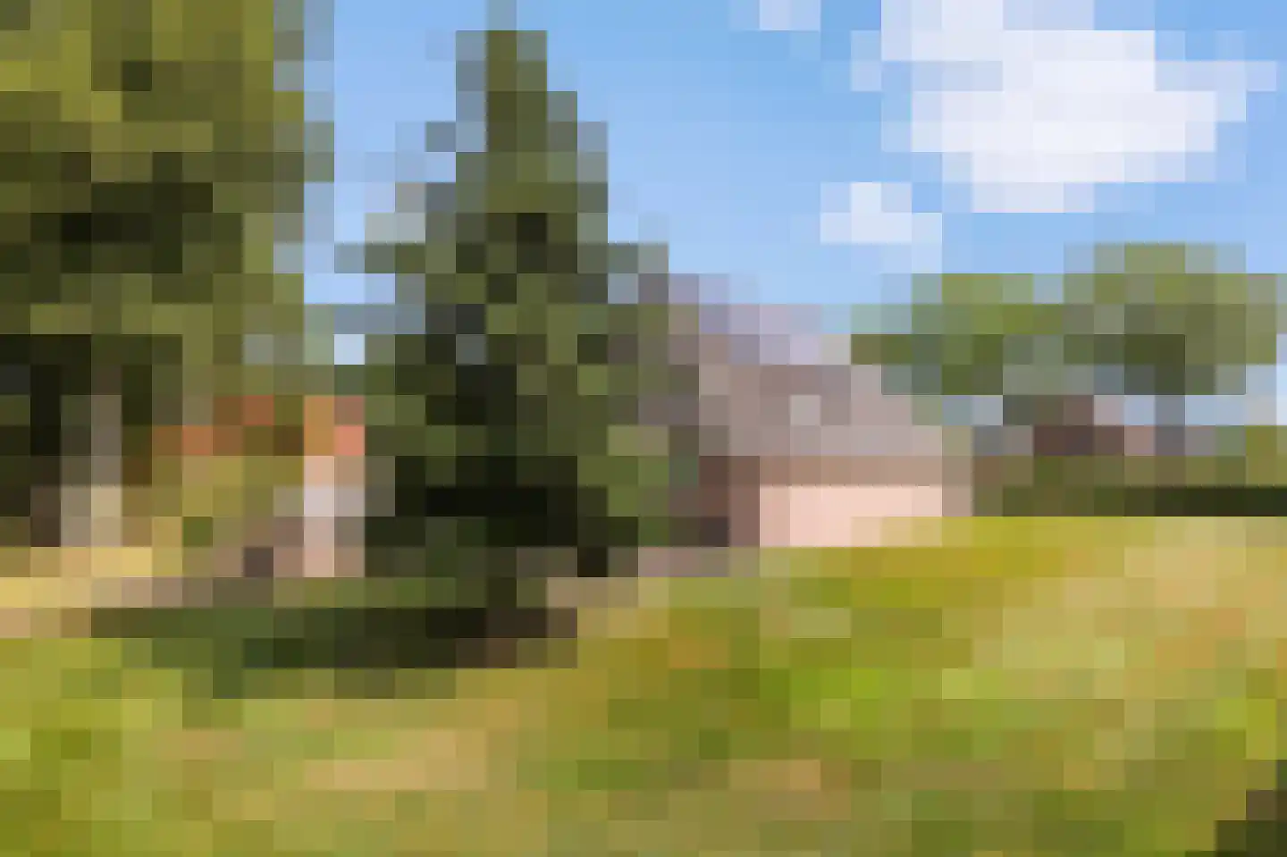 Jogchem Alberdaweg 9 Jubbega thumbnail 35