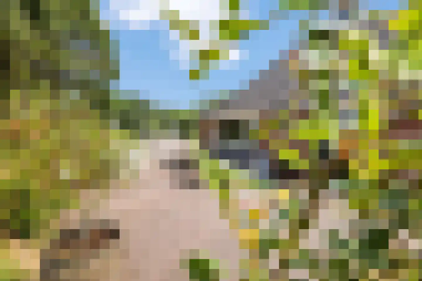 Jogchem Alberdaweg 9 Jubbega thumbnail 36